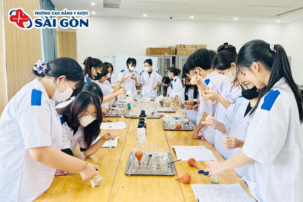 Sau khi tốt nghiệp ngành Hộ sinh, người học có thể làm việc trong nhiều môi trường y tế khác nhau với triển vọng nghề nghiệp rộng mở và ổn định