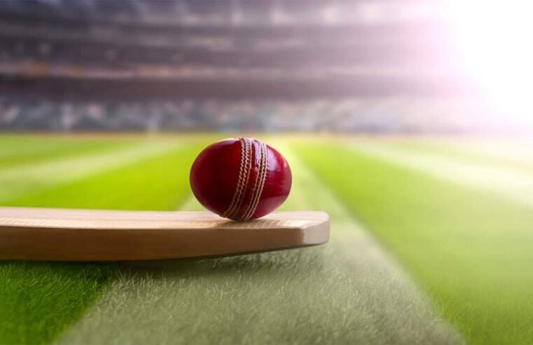 Cricket là môn gì? Môn thể thao kỳ lạ nhất hiện nay