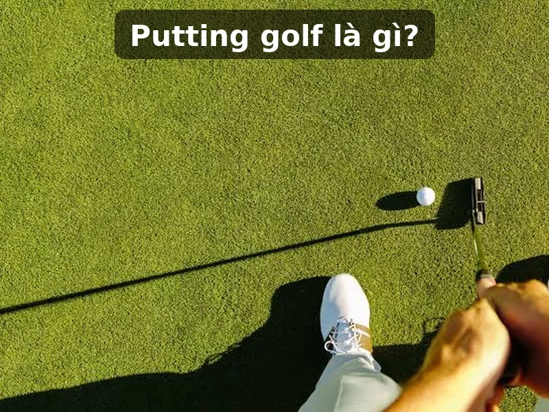 Putting là kỹ năng đưa bóng lăn trên green bằng putter, ảnh hưởng trực tiếp đến số gậy và khả năng hoàn thành hố hiệu quả.